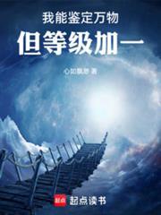 但等级加一笔趣阁