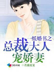一纸契约总裁大人宠妻成瘾