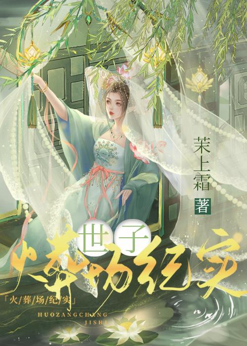 世子火葬场纪实TXT免费