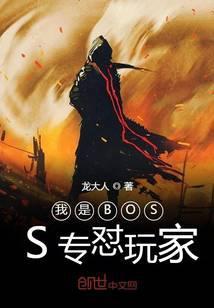 我是boss是什么意思