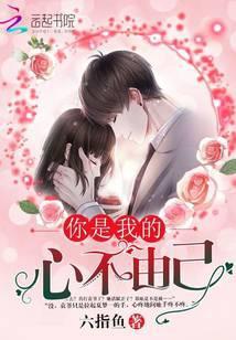 歌曲你的心不属于我