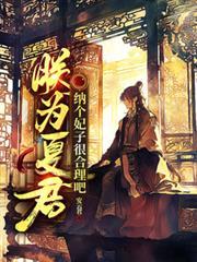 书名 朕为君你为臣