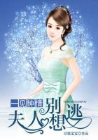 一见夫人我就怂全文免费阅读