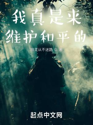 维护和平的尝试