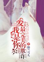 是你最完美的欺诈(纳兰雪儿)