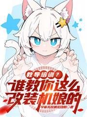 机娘gk身体改件