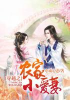 穿越之农家小农妻