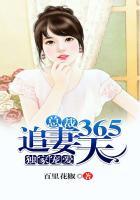 独家专宠总裁追妻套路深