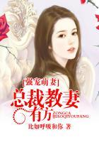 强宠总裁的小萌妻