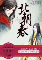 北朝春事讲什么