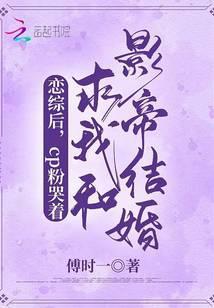 恋综成功有几对