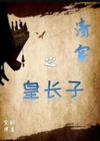清穿之皇长子txt
