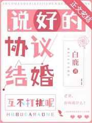 说好的协议结婚竟然txt免费阅读