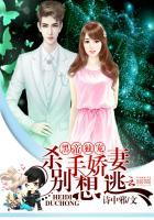 黑帝绝宠绝色杀手妻