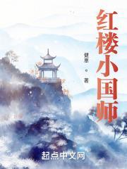 穿越红楼当国师的