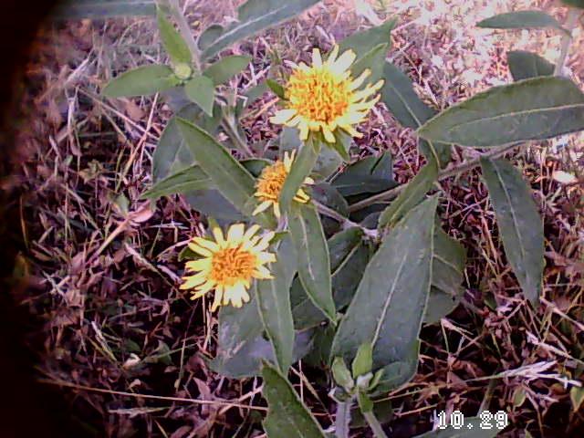 35岁之前要上的33堂理财课