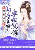 爆宠痞妃 高冷王爷乖乖就寝