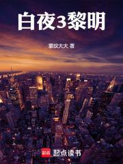 白夜3.98 13