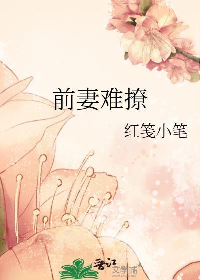 前妻难撩红笺TXT百度资源