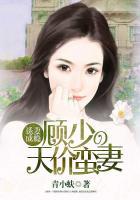 诱妻成瘾顾少的天价蛮妻