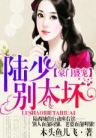 豪门盛宠:陆少别太坏