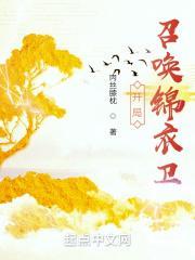 开局:召唤锦衣卫