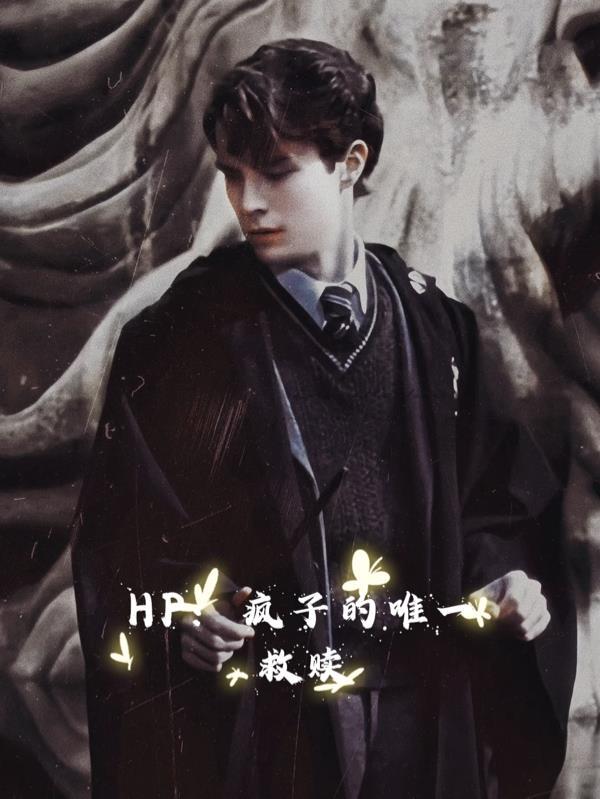 HP:疯子的唯一救赎