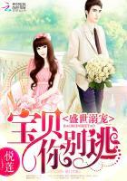盛世溺宠:宝贝你别逃