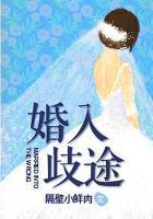 婚入歧途