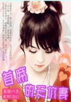 契约恶妻:首席的天价妻