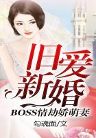 旧爱新婚:Boss情劫娇萌妻