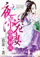 夜帝宠妻:绝世神医