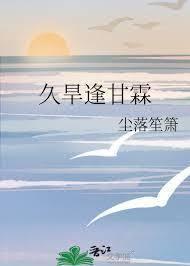 久旱有甘霖的第3本书