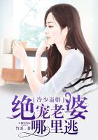 冷少逼婚:绝宠老婆哪里逃