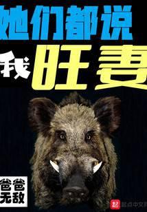 她们都说我旺妻
