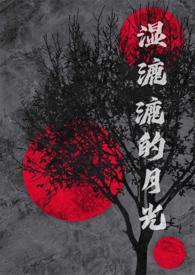 湿漉漉的月光(NP)